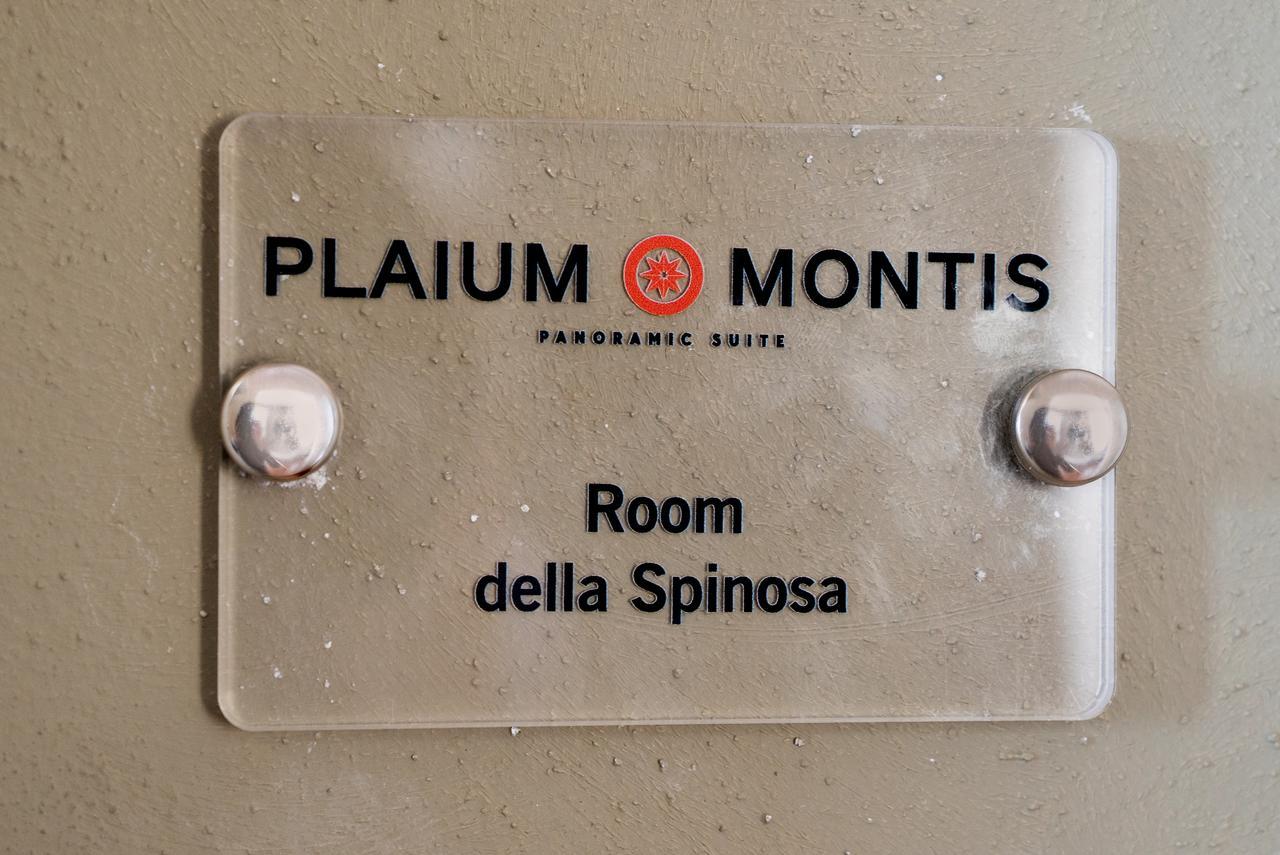 살레르노 Plaium Montis B&B 외부 사진